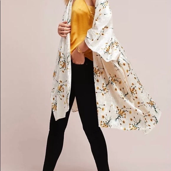 Anthropologie Velvet Floral Kimono - Picture 3 of 8